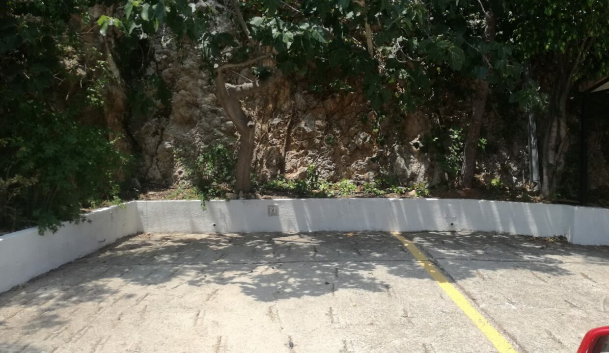 plaza parking