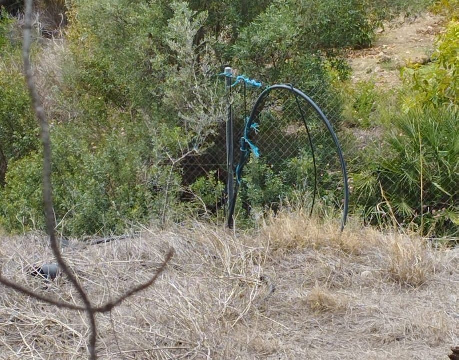 IMG-20240527-WA0008