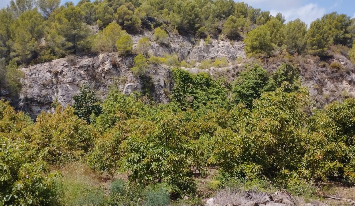 IMG-20240527-WA0009