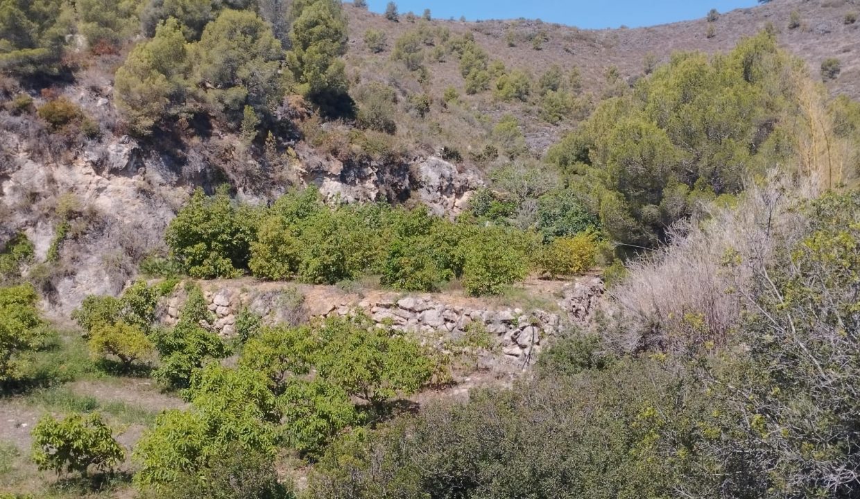 IMG-20240529-WA0007
