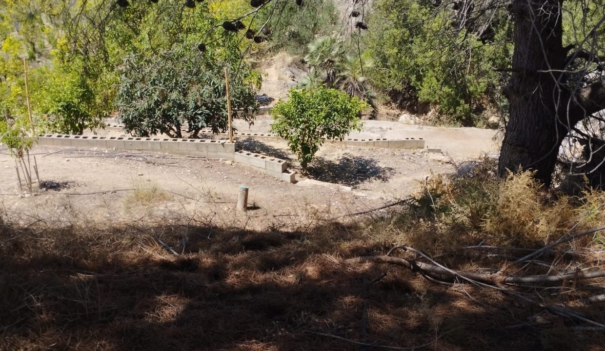 IMG-20240529-WA0010
