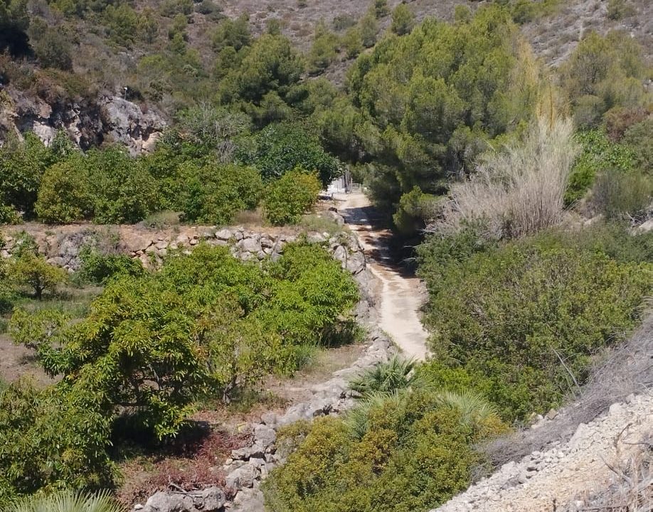 IMG-20240529-WA0016