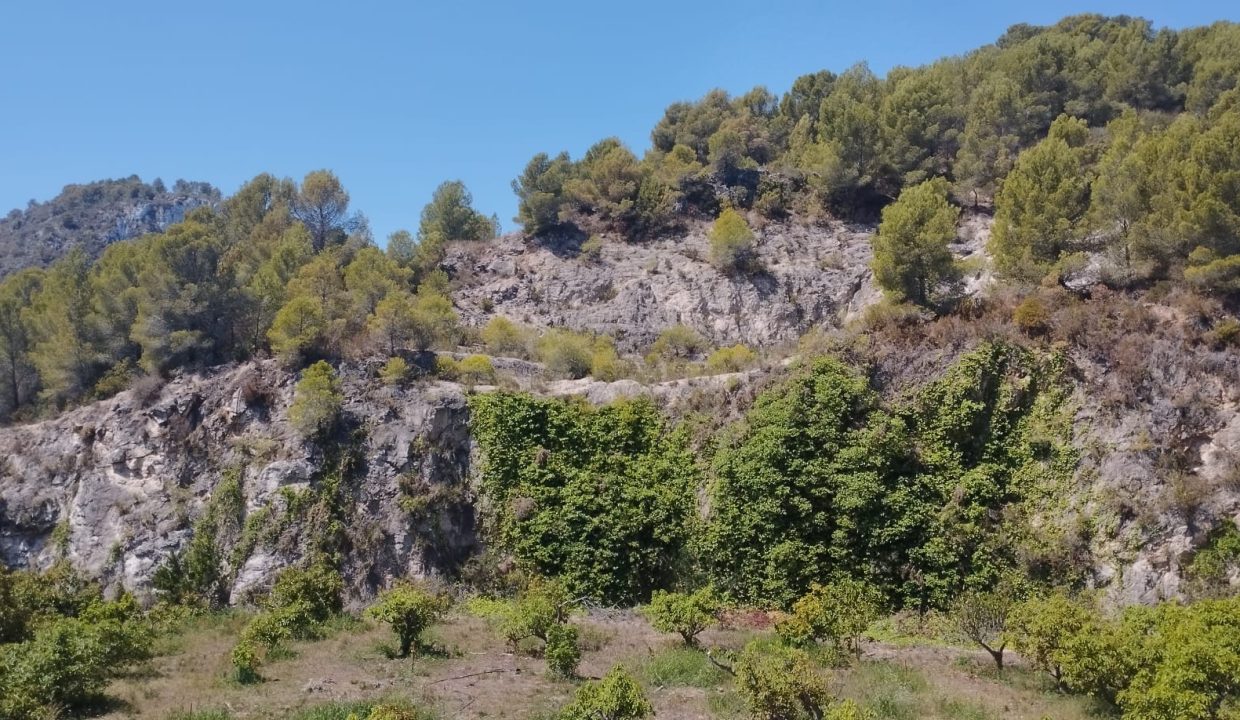 IMG-20240529-WA0017