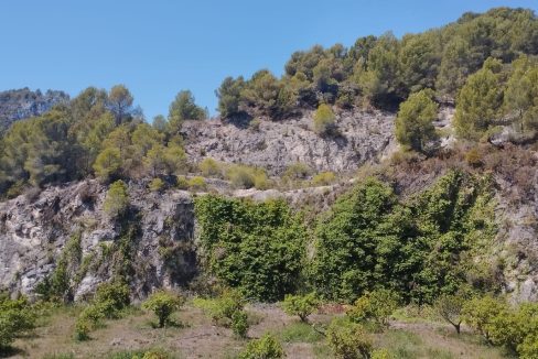IMG-20240529-WA0017