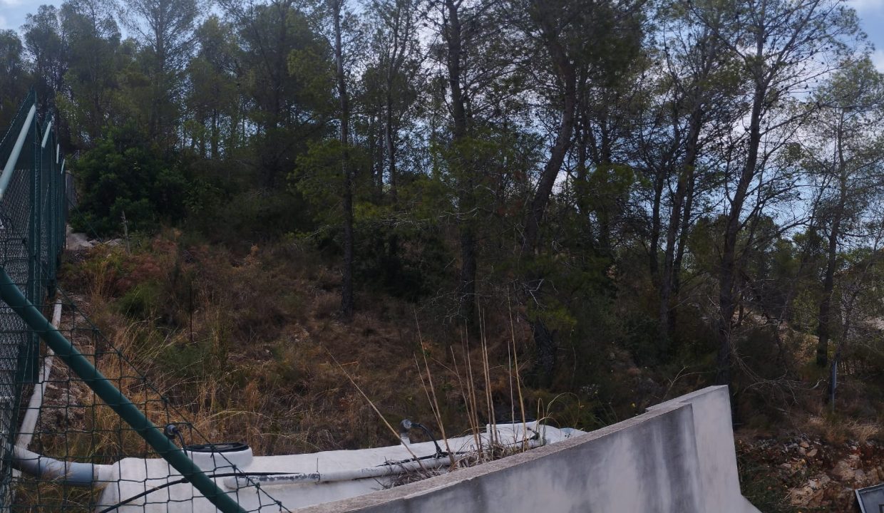 IMG-20240709-WA0003