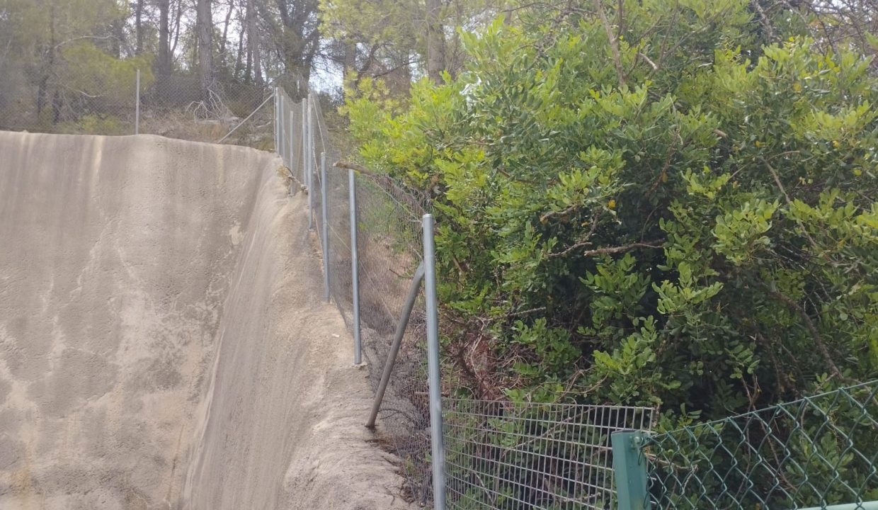 IMG-20240709-WA0004