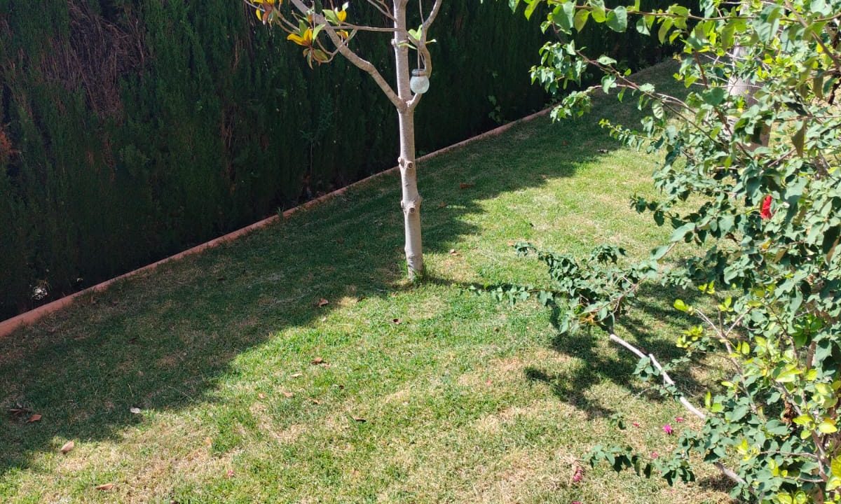 WhatsApp Image 2025-07-25 at 12.03.49 (3)