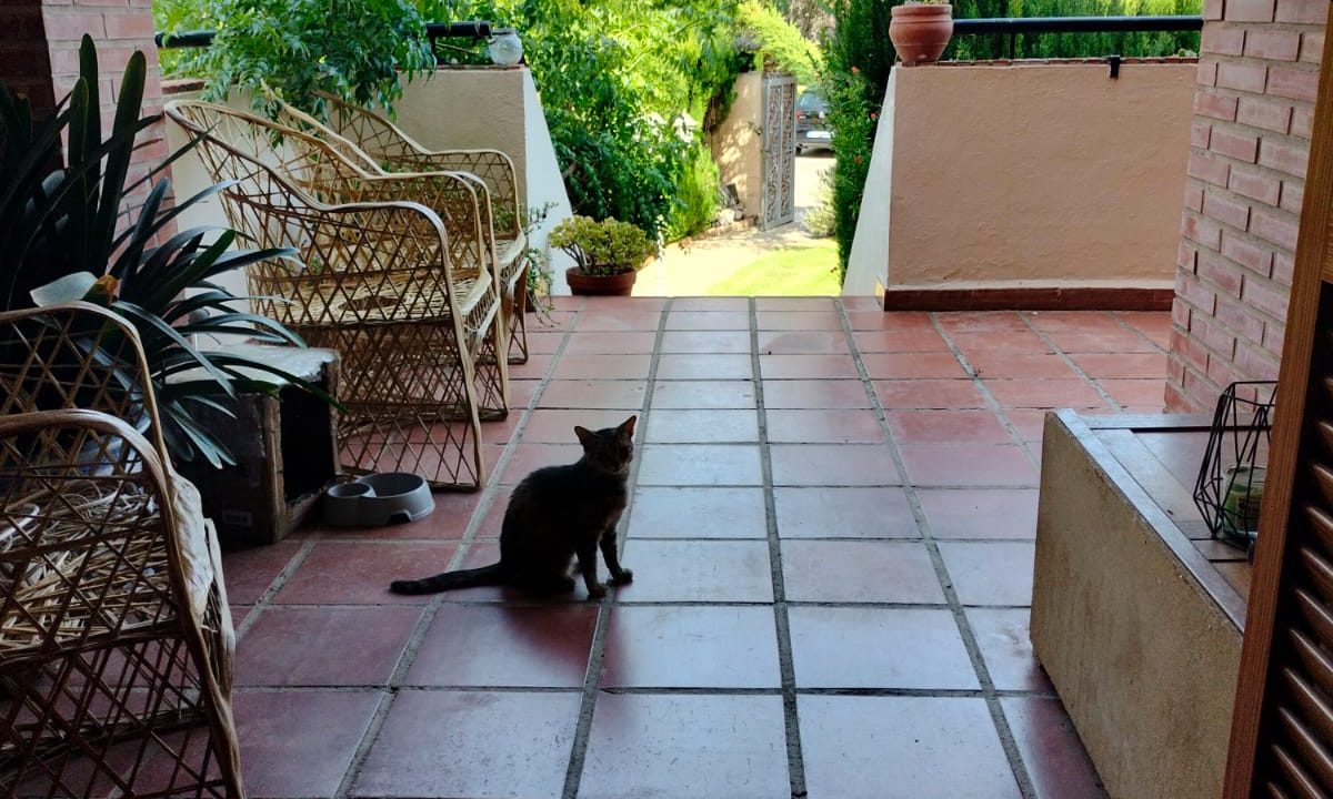 WhatsApp Image 2025-07-25 at 12.03.51 (4)