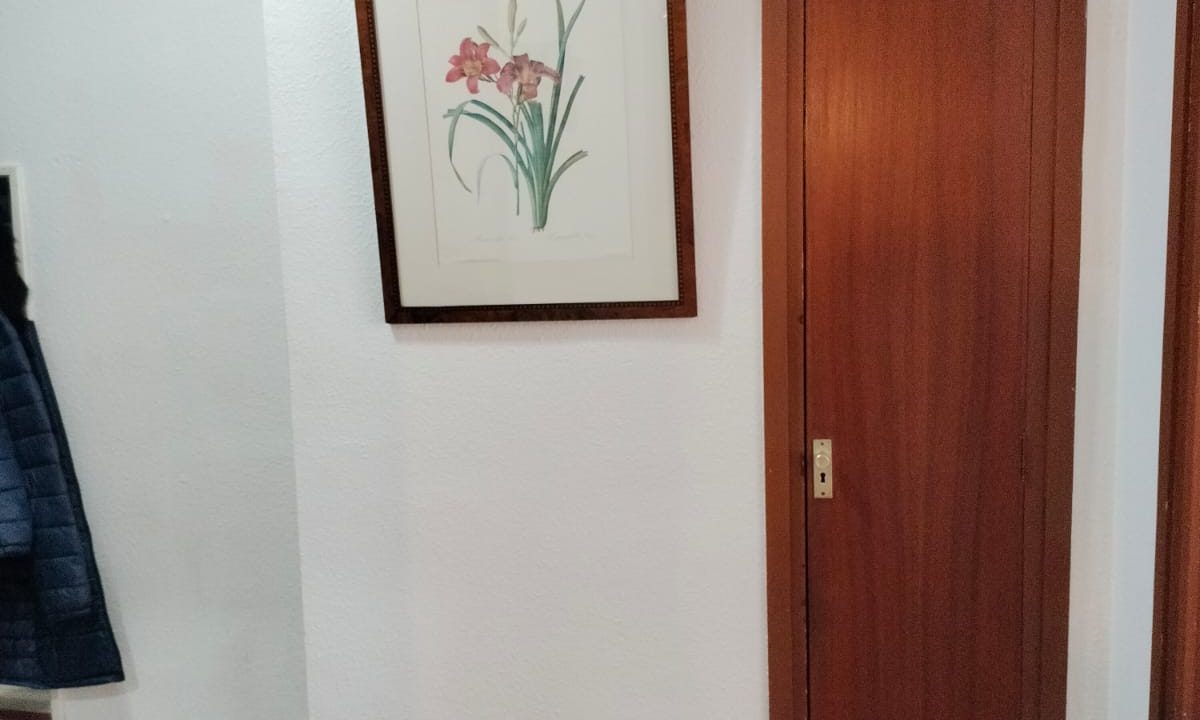 WhatsApp Image 2025-08-05 at 13.34.47 (2)