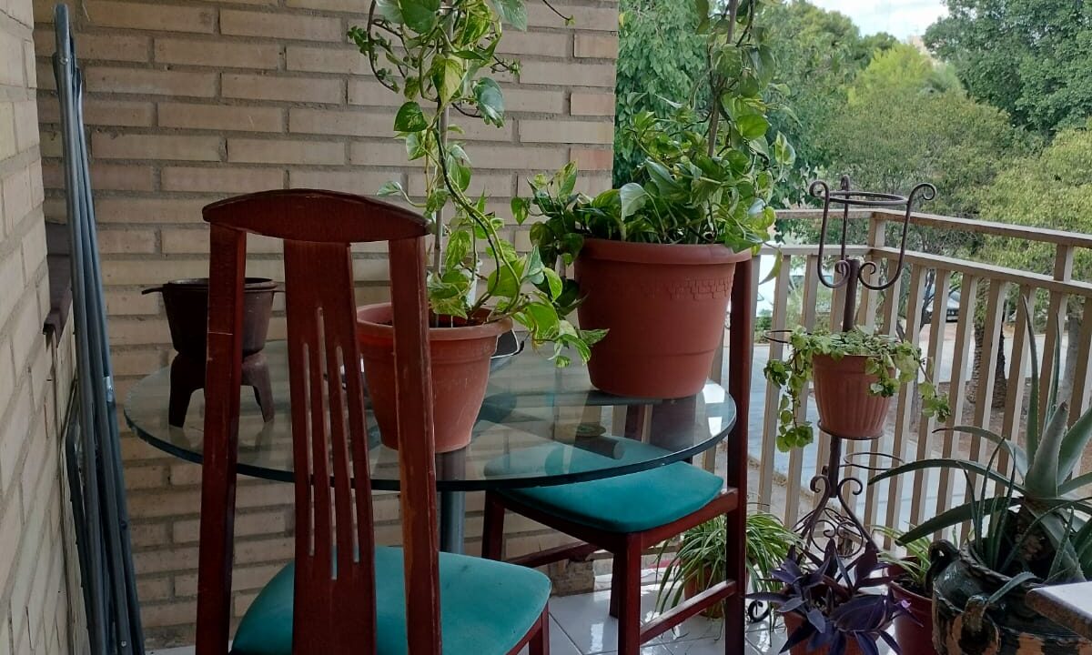 WhatsApp Image 2025-09-22 at 12.18.31 (2)