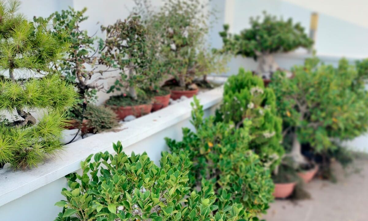 WhatsApp Image 2025-12-01 at 09.16.51 (3)