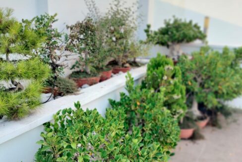 WhatsApp Image 2025-12-01 at 09.16.51 (3)