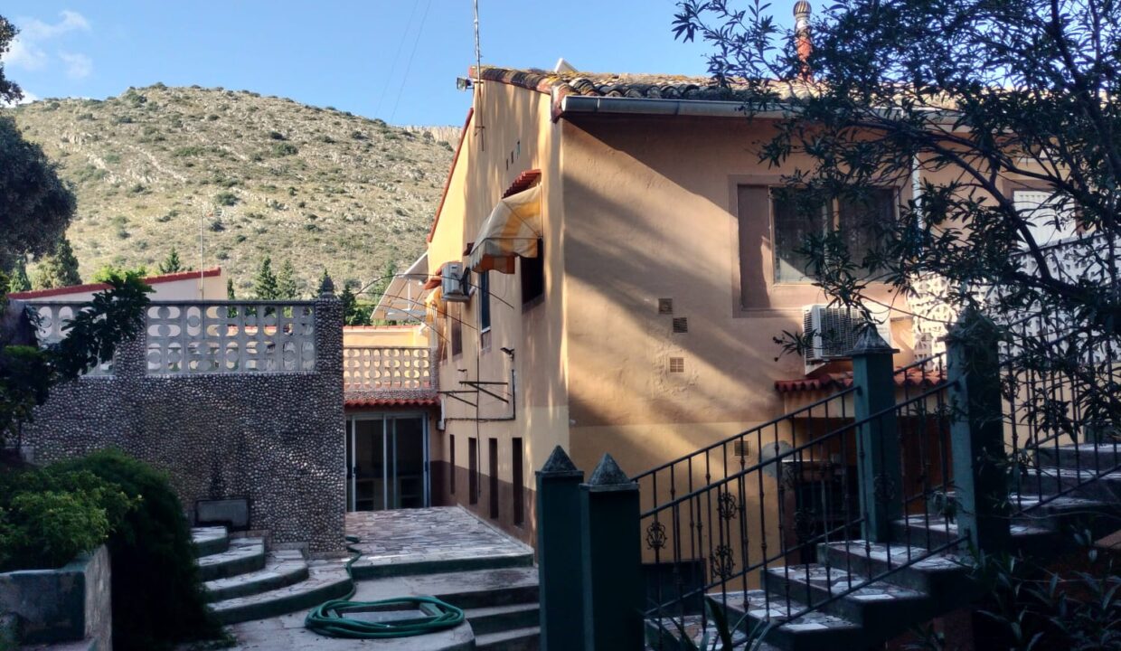 WhatsApp Image 2025-10-07 at 13.15.58 (1)