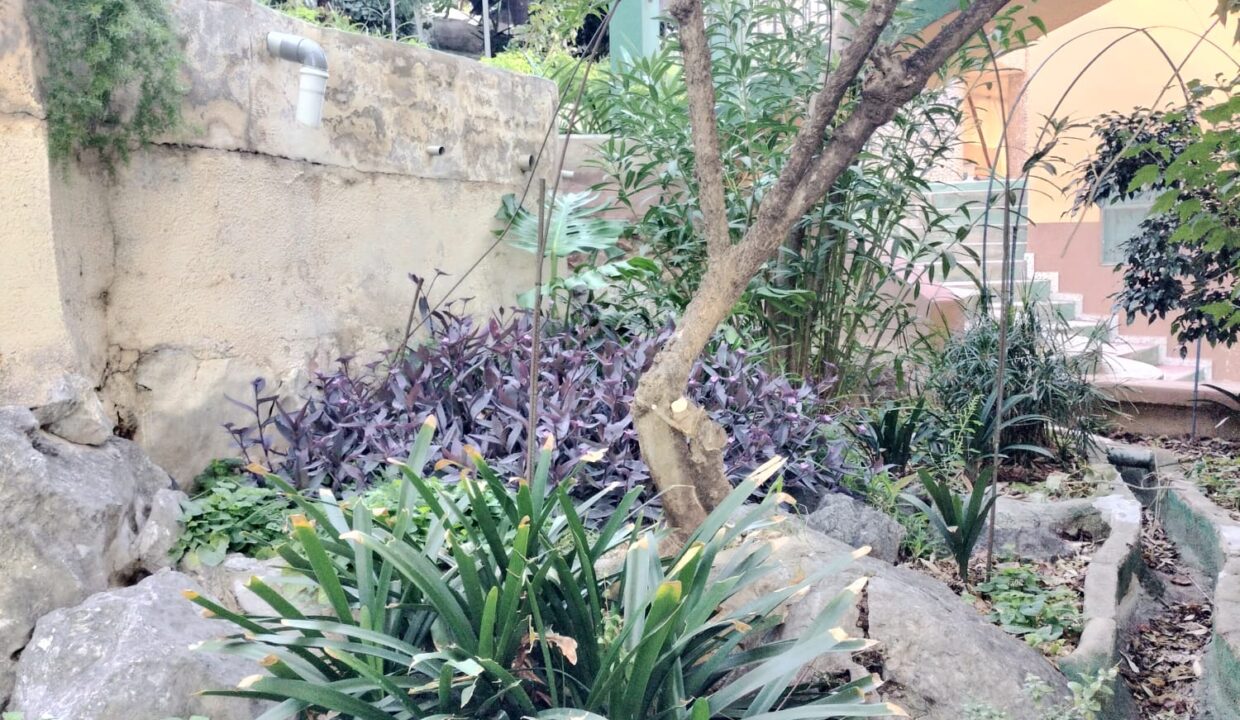 WhatsApp Image 2025-10-07 at 13.15.58