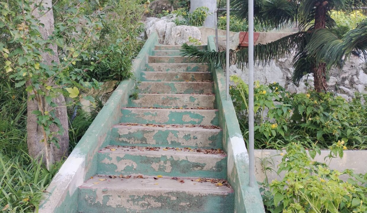 WhatsApp Image 2025-10-07 at 13.15.58 (4)