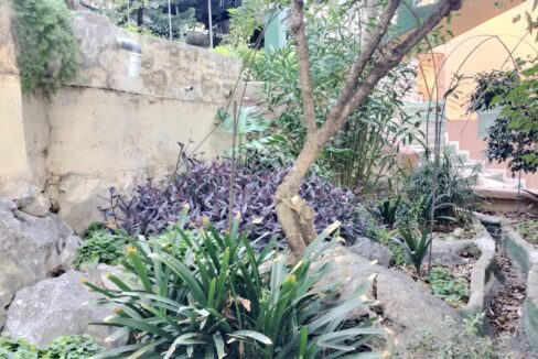 WhatsApp Image 2025-10-07 at 13.15.58