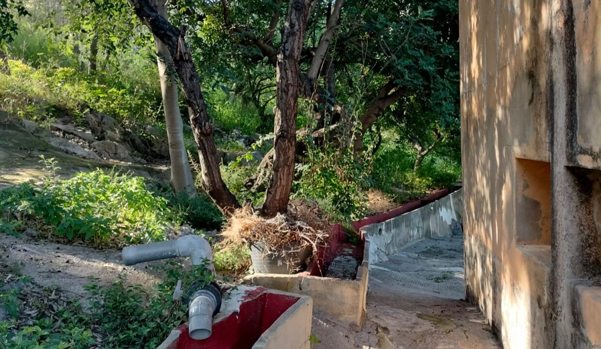 WhatsApp Image 2025-10-07 at 13.16.00 (1)