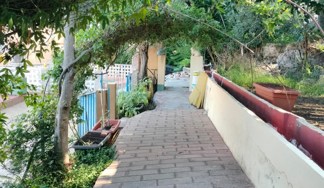 WhatsApp Image 2025-10-07 at 13.16.00