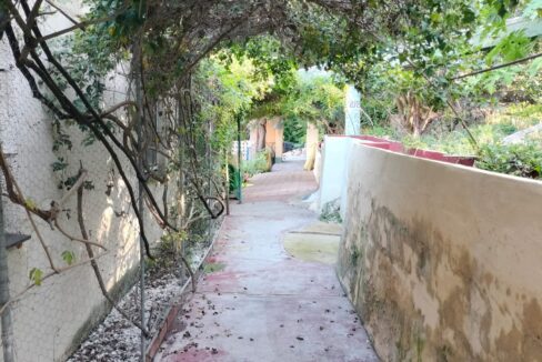 WhatsApp Image 2025-10-07 at 13.16.00 (3)