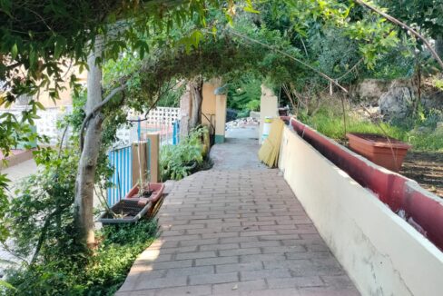 WhatsApp Image 2025-10-07 at 13.16.00