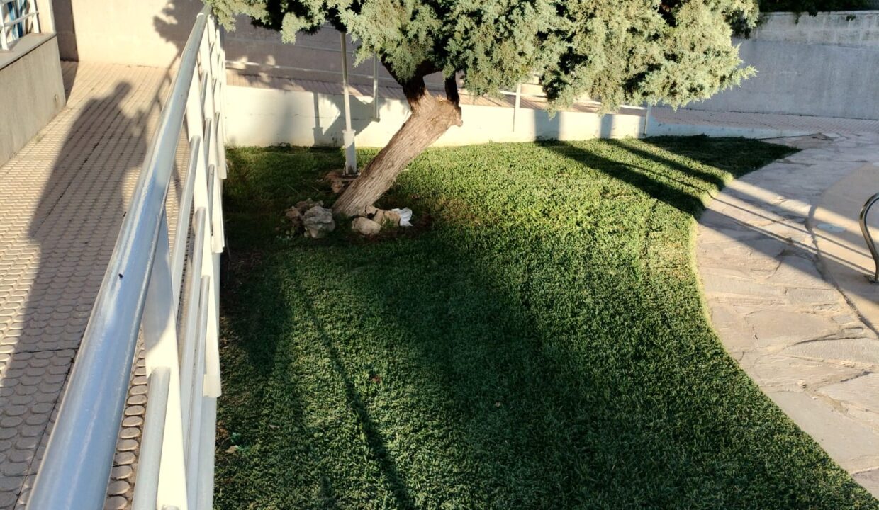 WhatsApp Image 2025-12-04 at 07.33.37 (6)