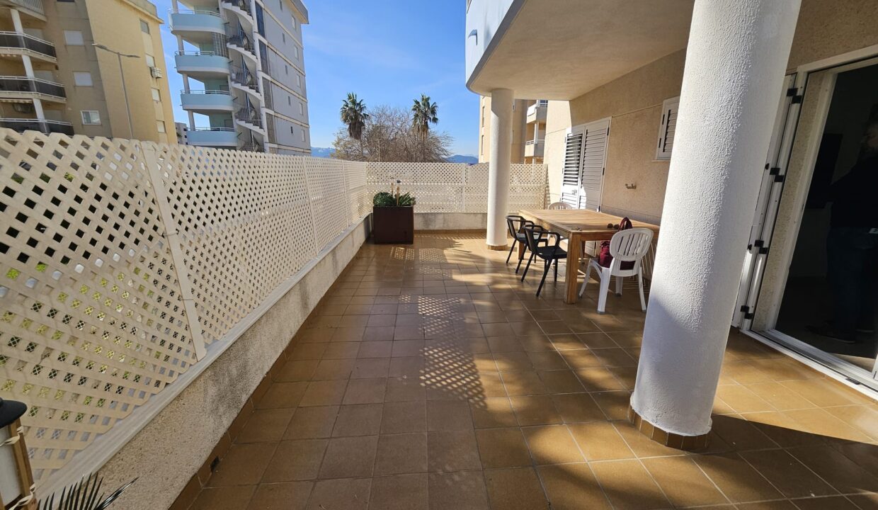 WhatsApp Image 2026-02-23 at 19.11.07 (1)