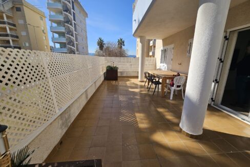 WhatsApp Image 2026-02-23 at 19.11.07 (1)