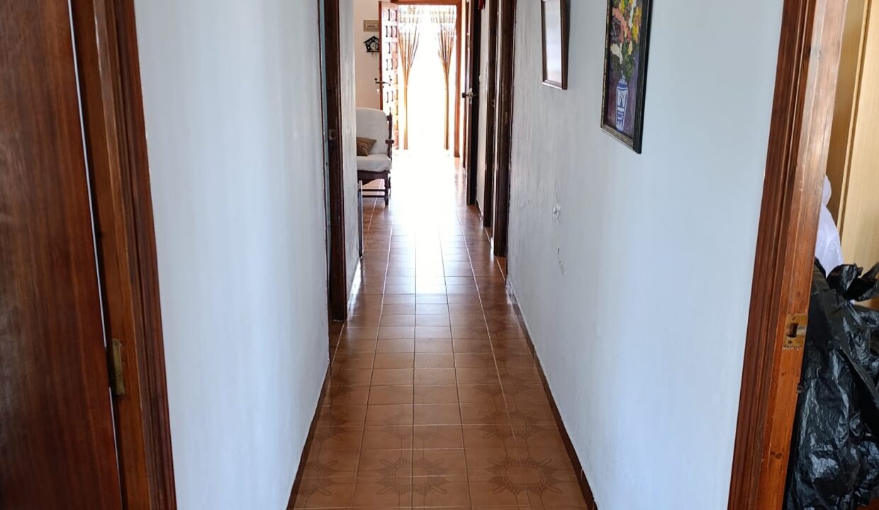 WhatsApp Image 2026-03-30 at 19.58.42 (1)