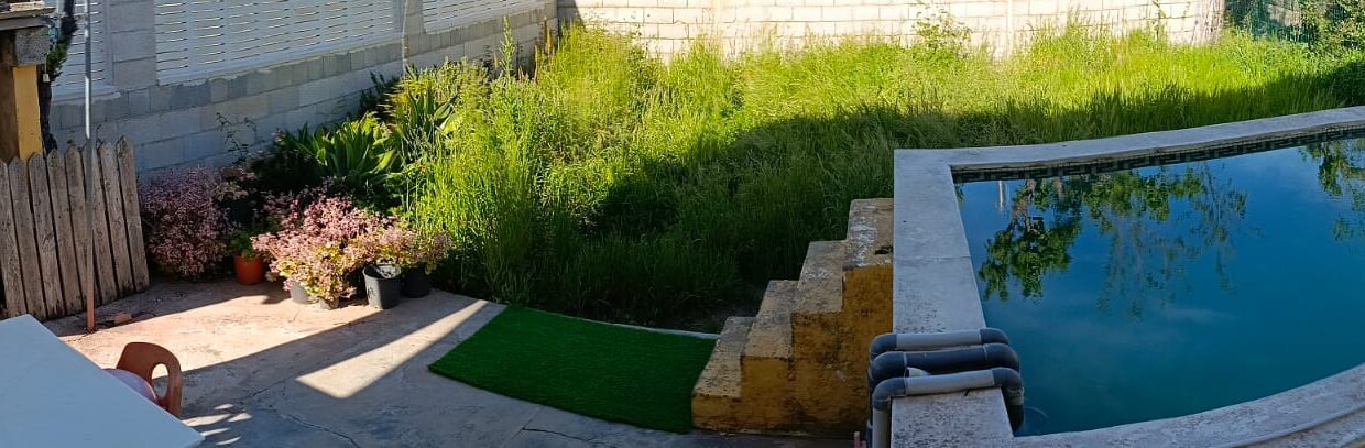 WhatsApp Image 2026-03-30 at 19.58.43 (2)