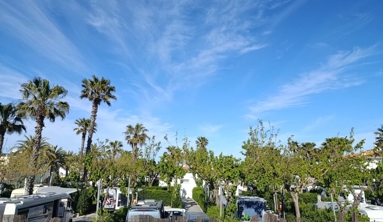 WhatsApp Image 2026-03-30 at 19.58.45