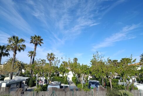 WhatsApp Image 2026-03-30 at 19.58.45