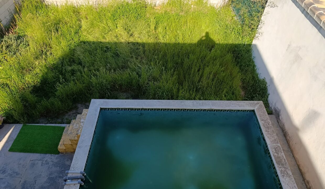 WhatsApp Image 2026-03-30 at 19.58.48